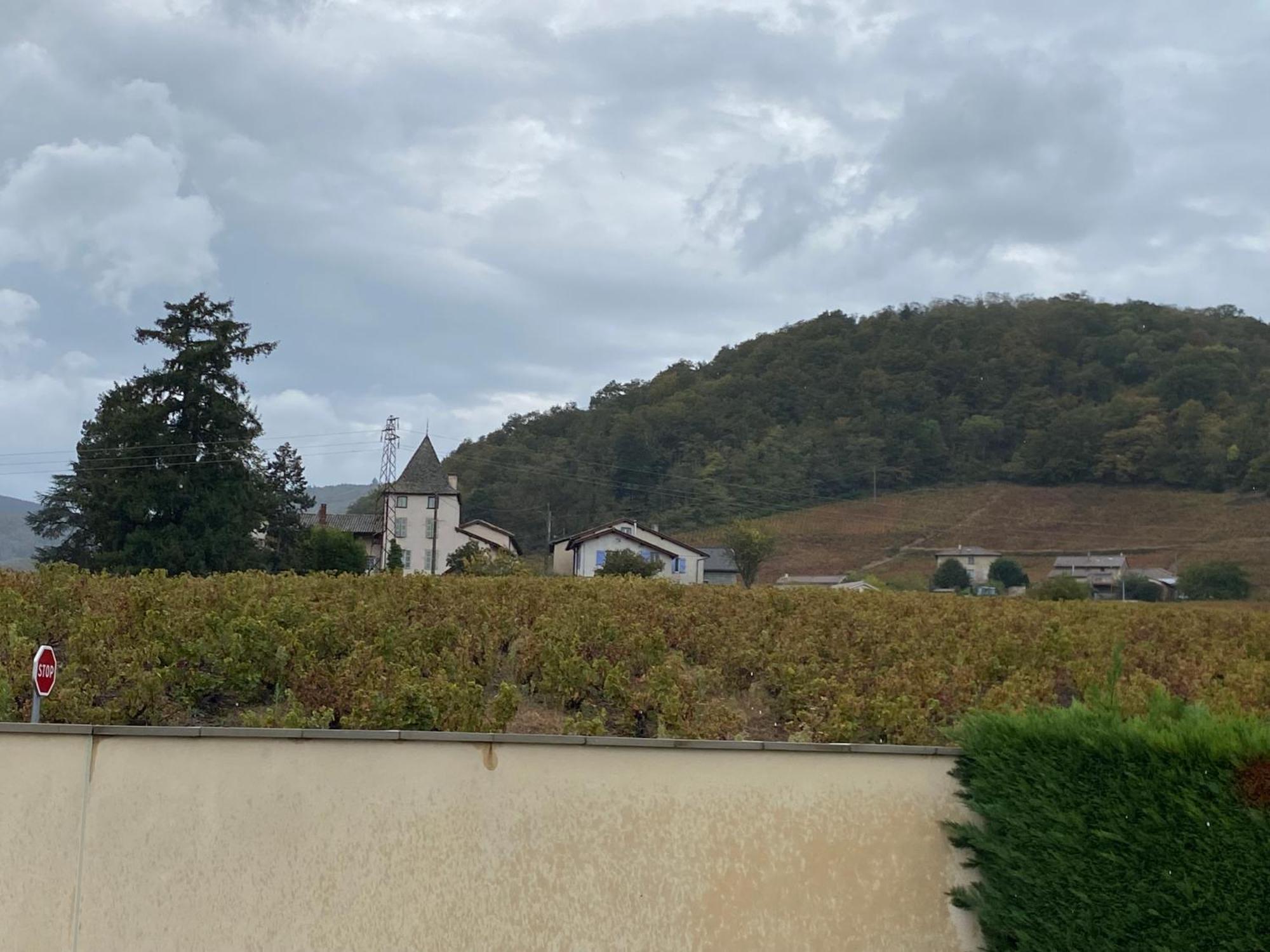 Le Bouchon De Liege Beaujeu (Rhone) Exterior foto